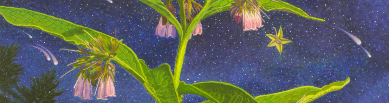 painting of green comfrey plant against dark blue starry night sky