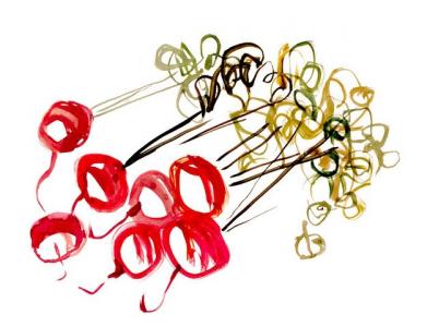 drawing of radishes