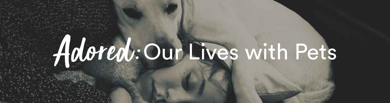 Black and white photo of dog and human cuddling