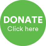 Donate Button, green click here