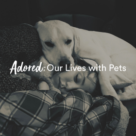 Black and white photo of dog and human cuddling