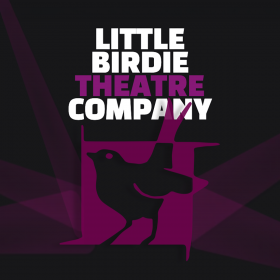 Little Birdie Logo