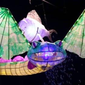 Image Dragon Lantern 